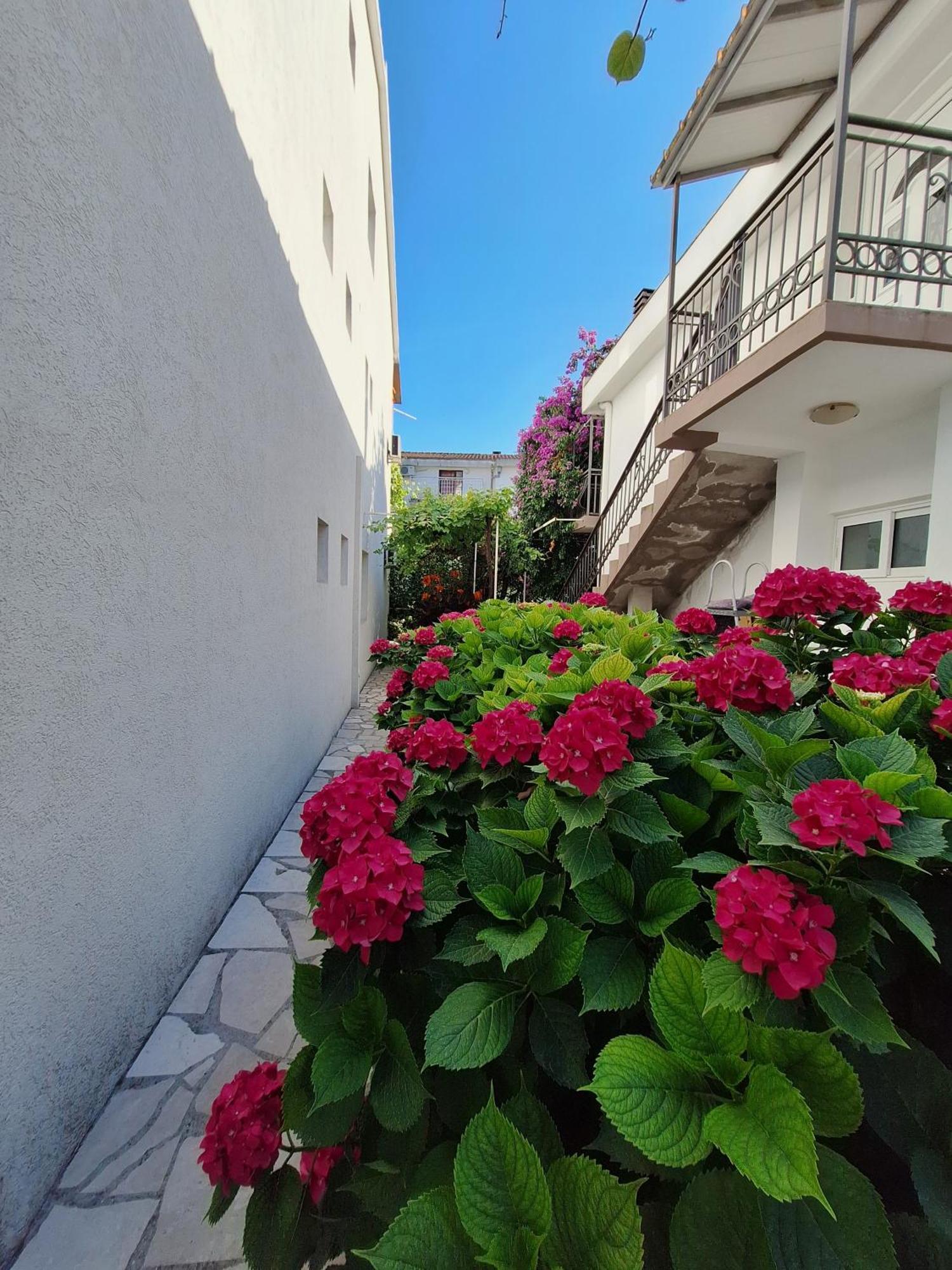 Apartmani Hortenzija ブドヴァ エクステリア 写真