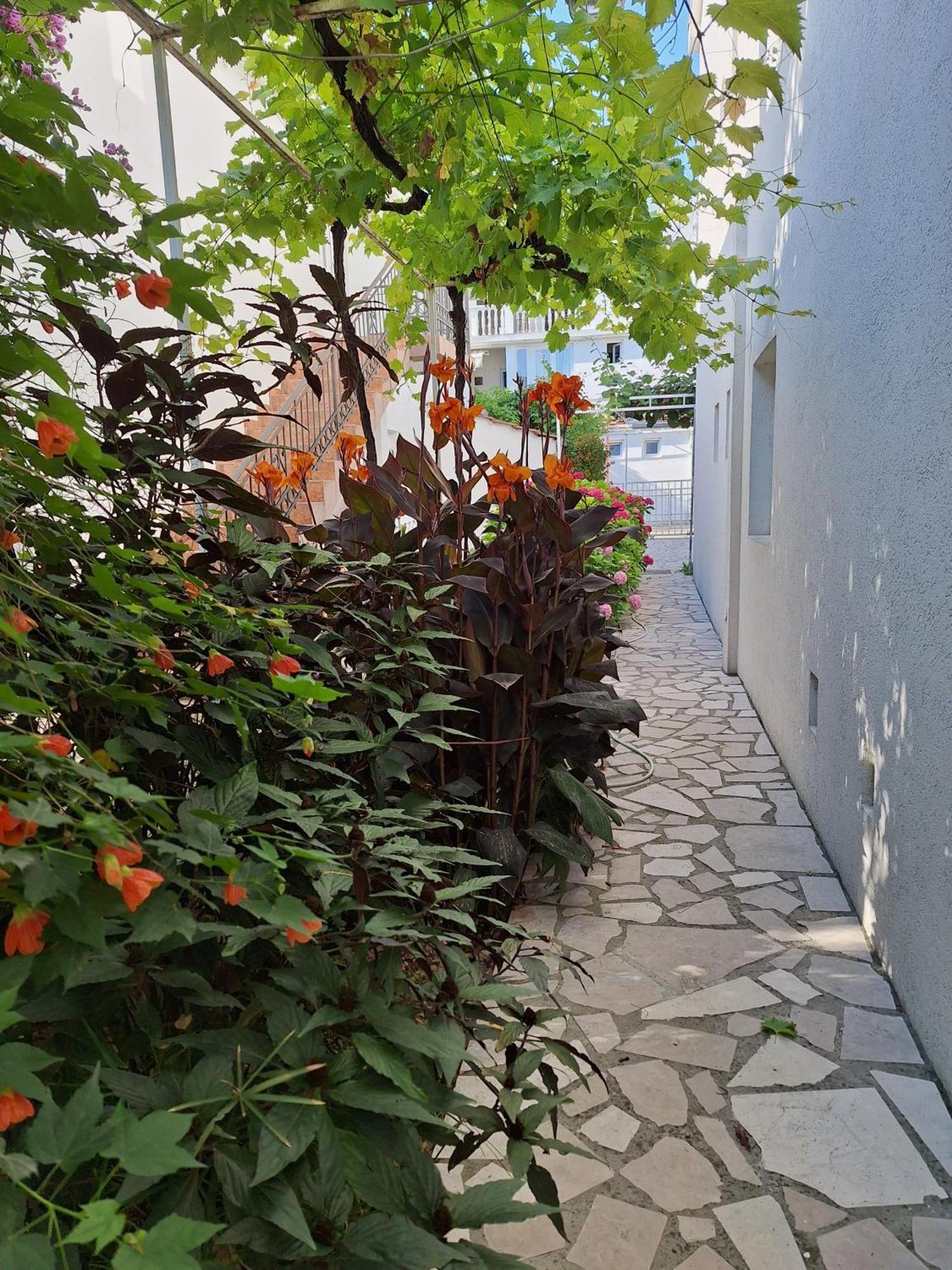 Apartmani Hortenzija ブドヴァ エクステリア 写真