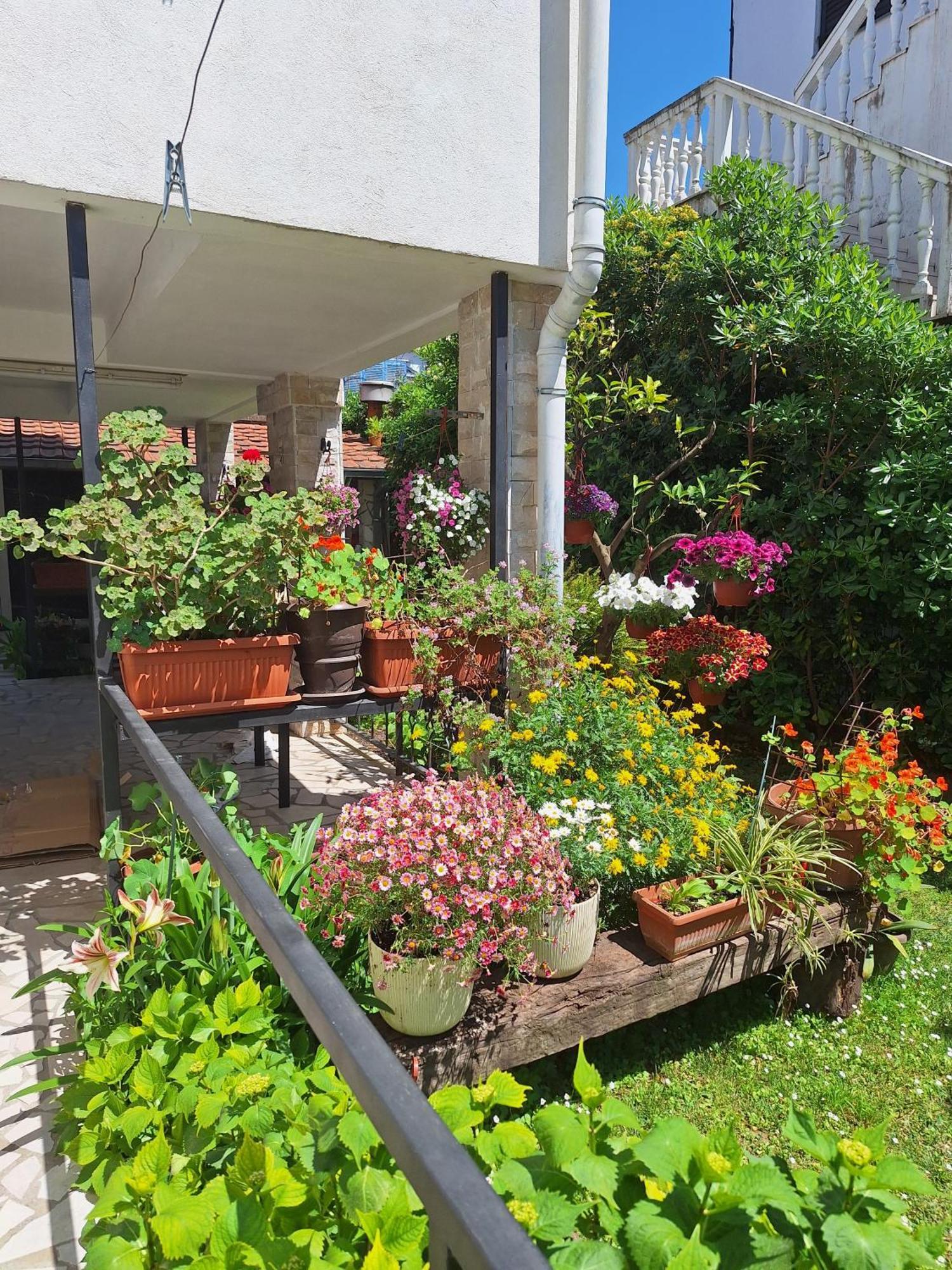 Apartmani Hortenzija ブドヴァ エクステリア 写真