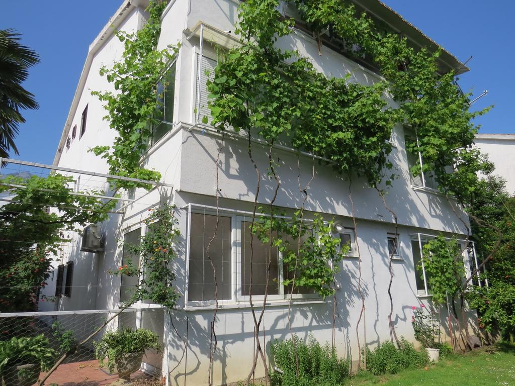 Apartmani Hortenzija ブドヴァ エクステリア 写真